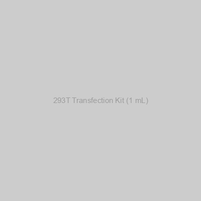 293T Transfection Kit (1 mL)